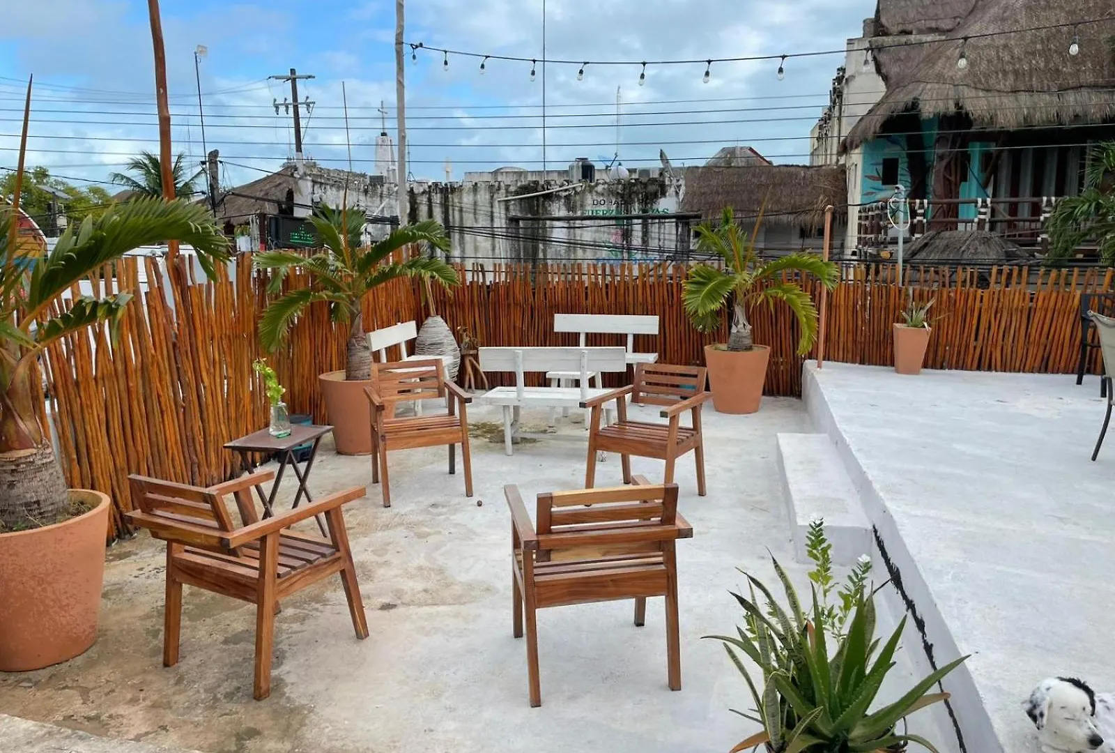 Mayab Holbox Isla Holbox