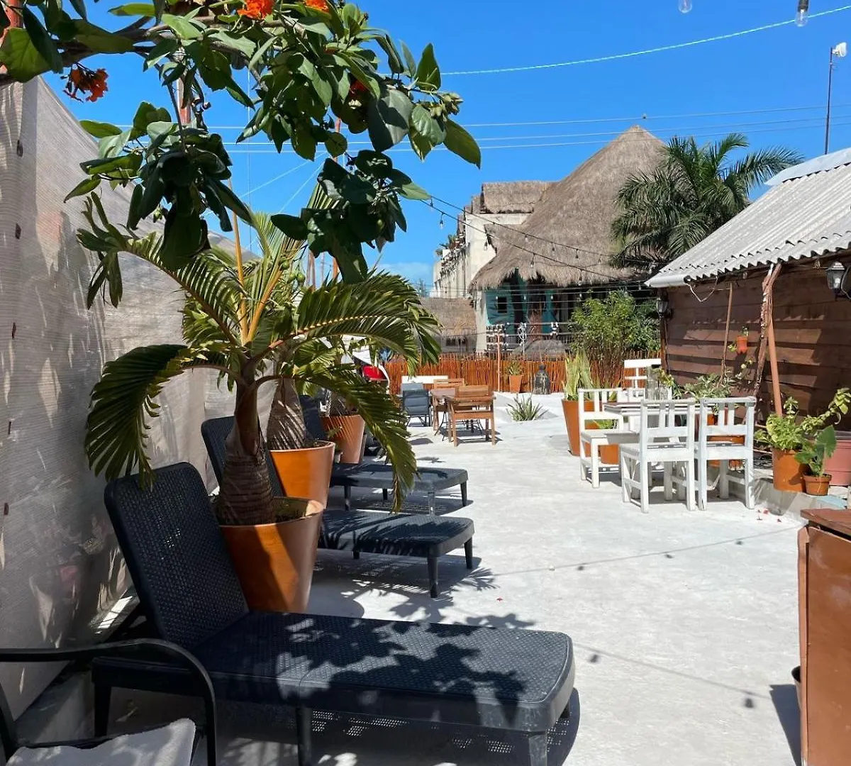 Mayab Holbox Isla Holbox